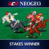 ACA NeoGeo: Stakes Winner